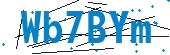recaptcha